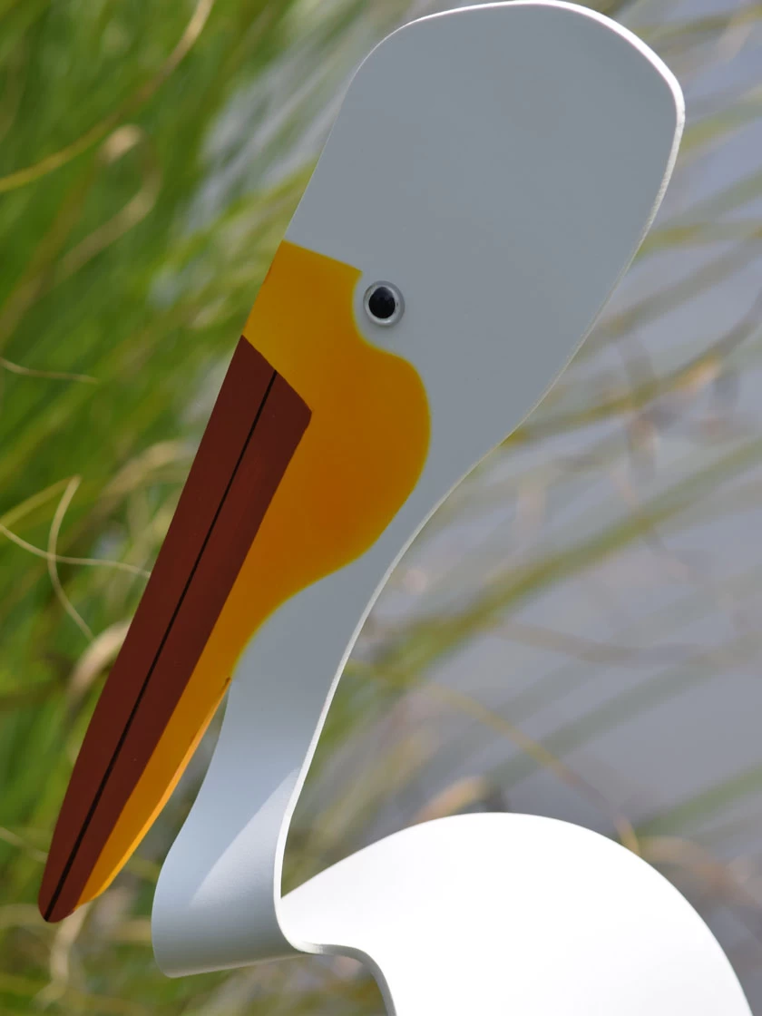 Florida Dancing Birds®, American White Pelican 1 Florida Dancing Birds®, American White Pelican