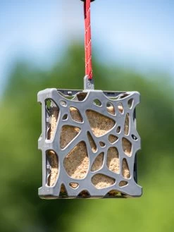 Suet Cake Feeder