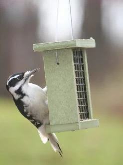 Birds Choice⢠Suet Feeder
