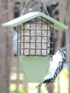 Birds Choice⢠Tail Prop Feeder