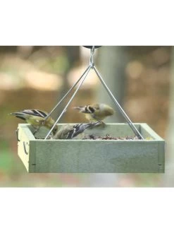 Birds Choice™ Tray Bird Feeder, Small -Charming Outdoors Shop 8613221 03v