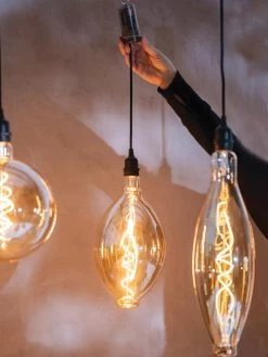 Retro Essence™ Vintage LED Light Bulbs 11 Retro Essence™ Vintage LED Light Bulbs -Charming Outdoors Shop 8613229 7066