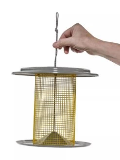 Color Pop Sunflower Seed Bird Feeder -Charming Outdoors Shop 8613785 14V