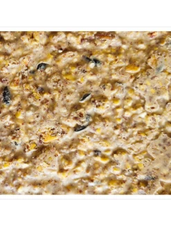 Peanut Apple Suet, 11.75 OZ, 12 Pack -Charming Outdoors Shop webimage 8613690 04V