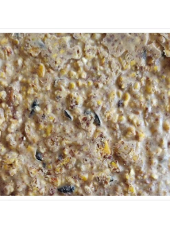 Woodpecker Almond Suet, 11.75 OZ, 12 Pack -Charming Outdoors Shop webimage 8613691 04V